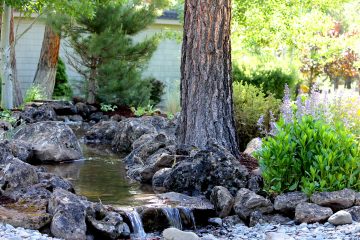 Water Features: Ponds, Fountains, Streams